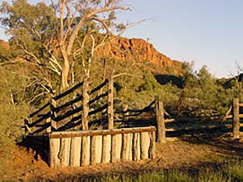 Illamurta Springs Conservation Reserve - Redcliffe Tourism 0