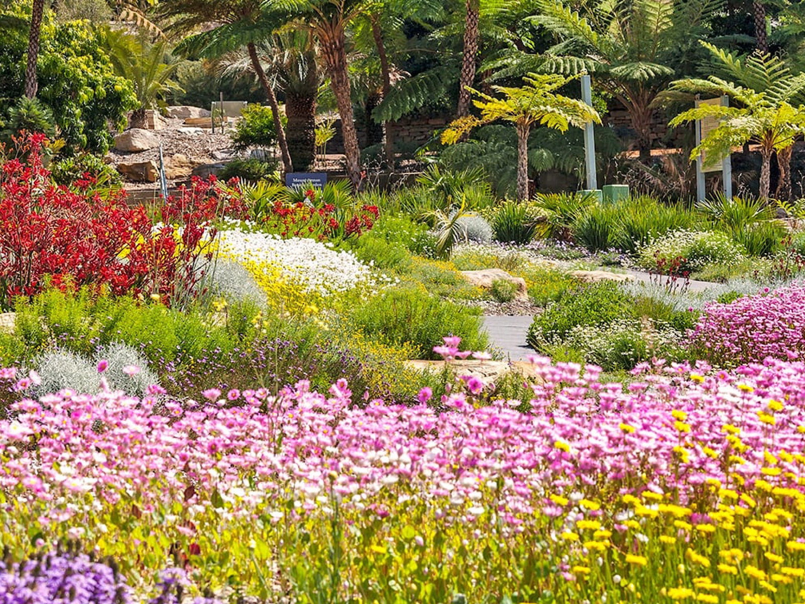 Mount Annan NSW Redcliffe Tourism