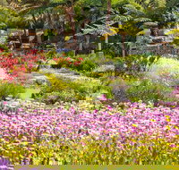 Jurassic Garden AR Experience - Redcliffe Tourism