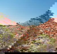 Lark Quarry Conservation Park - Redcliffe Tourism