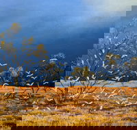 Lyn Barnes Gallery - Redcliffe Tourism