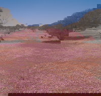 Meekatharra - Redcliffe Tourism