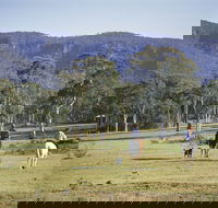 Megalong Valley - Redcliffe Tourism