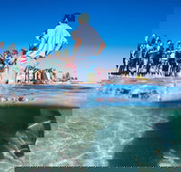 Monkey Mia - Redcliffe Tourism