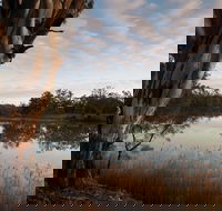Murray-Kulkyne Regional Park - Redcliffe Tourism