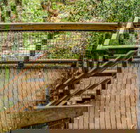 Somersby Falls walking track - Redcliffe Tourism