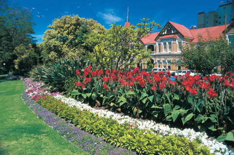 Stirling Gardens - Redcliffe Tourism 0
