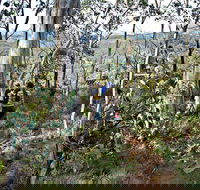 Summits Walking Track - Redcliffe Tourism