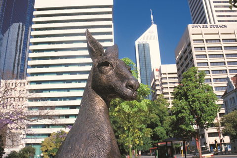 Supreme Court Gardens - Redcliffe Tourism 0