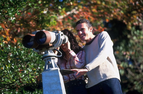The Lookout Cambewarra Mountain - Redcliffe Tourism 1