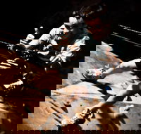 The Rock Adventure Centre - Redcliffe Tourism