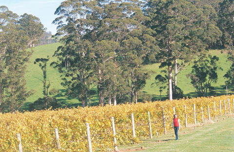 The Great Southern Drive - Redcliffe Tourism 2