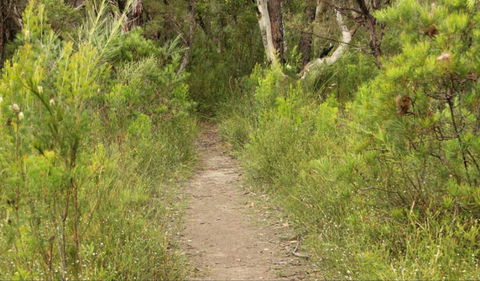 Three Views Walking Track - Redcliffe Tourism 0