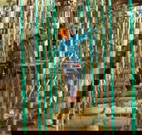 Trees Adventure Yeodene Park - Redcliffe Tourism