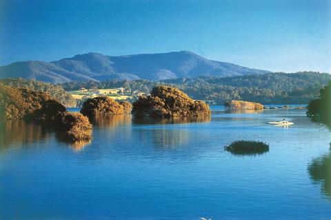 Wagonga Picnic Area - Redcliffe Tourism 0