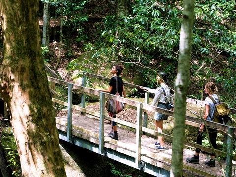 Watagans National Park - Redcliffe Tourism 0