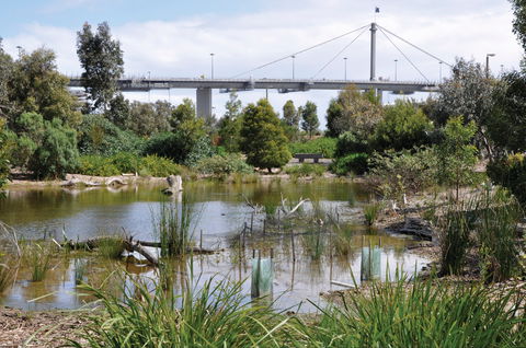 Westgate Park - Redcliffe Tourism 2
