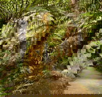 William Ricketts Sanctuary - Redcliffe Tourism