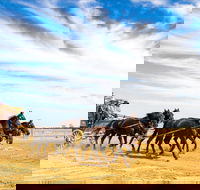 14 Day Gems of the Outback - Redcliffe Tourism