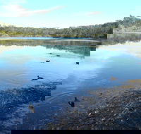 Berrara Creek - Redcliffe Tourism
