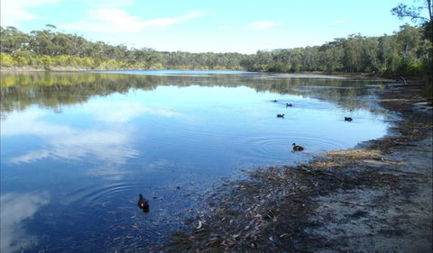 Berrara Creek - Redcliffe Tourism 0