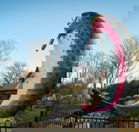 Big Trout - Redcliffe Tourism