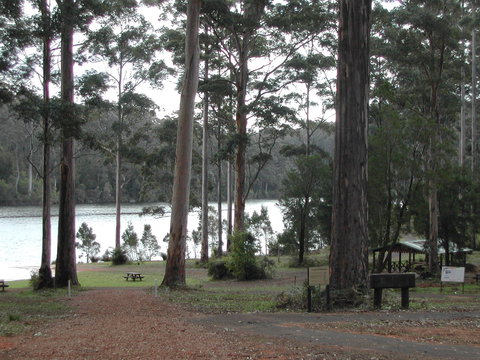 Big Brook Arboretum - Redcliffe Tourism 0