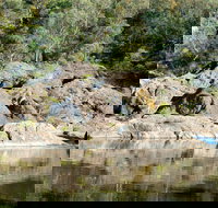 Boonoo Boonoo National Park - Redcliffe Tourism