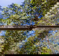 Bribie Island Bicentennial Trails - Redcliffe Tourism
