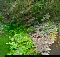 Brindle Creek Picnic Area - Redcliffe Tourism