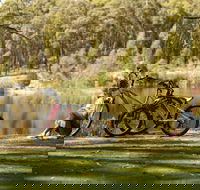 Creswick Regional Park - Redcliffe Tourism