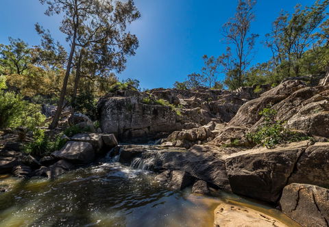 Crows Nest National Park - Redcliffe Tourism 1