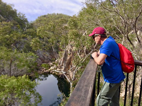 Crows Nest National Park - Redcliffe Tourism 2