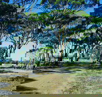 Dumbleyung - Redcliffe Tourism