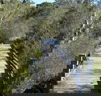 Falcon Crescent Link Track - Redcliffe Tourism