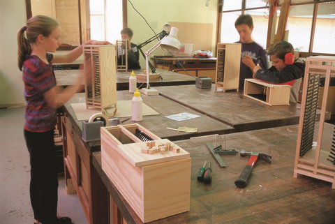 Forest Discovery Centre - Redcliffe Tourism 1