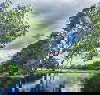 Gold Coast Regional Botanic Gardens - Redcliffe Tourism