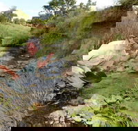 Gold Panning Deep Creek - Redcliffe Tourism