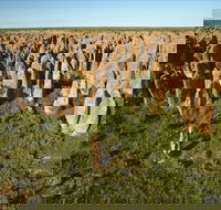Gulf Region - Redcliffe Tourism