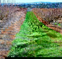 Hall Family Orchards - Redcliffe Tourism