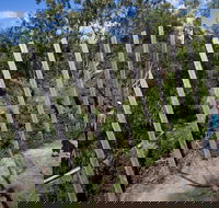 Herring Island Environmental Sculpture Park - Redcliffe Tourism