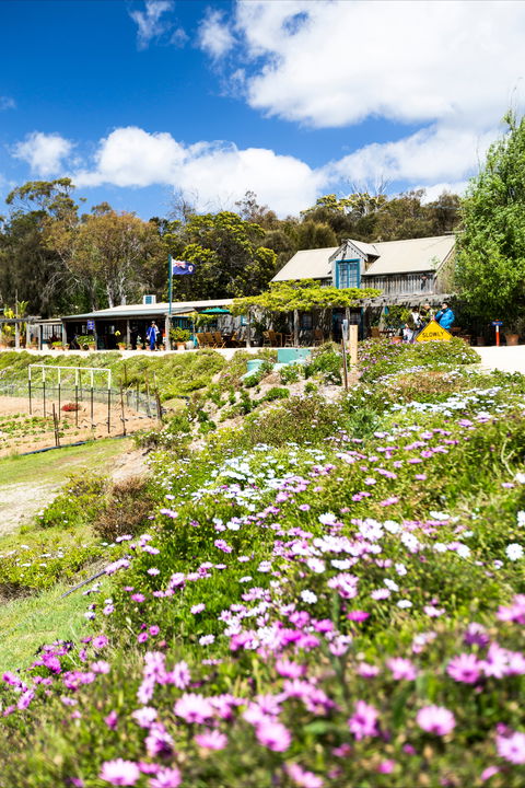 Kate's Berry Farm - Redcliffe Tourism 0