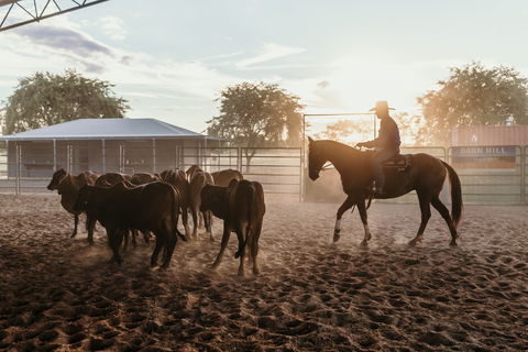 Katherine Outback Experience - Horse Riding Experience - Redcliffe Tourism 2