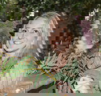 Koala Park Sanctuary - Redcliffe Tourism