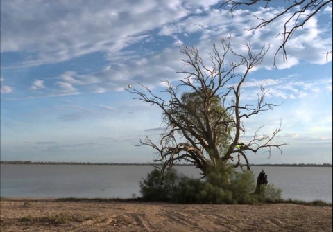 Lake Benanee - Redcliffe Tourism 0