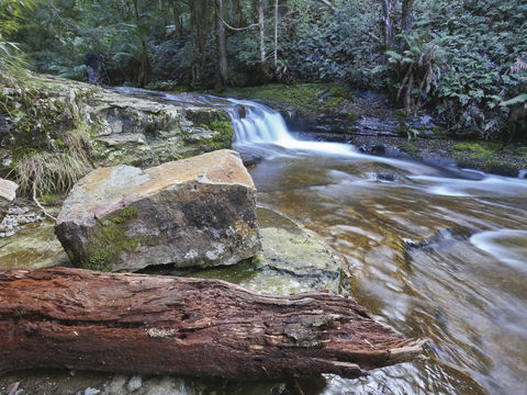 Liffey Falls Reserve - Redcliffe Tourism 0