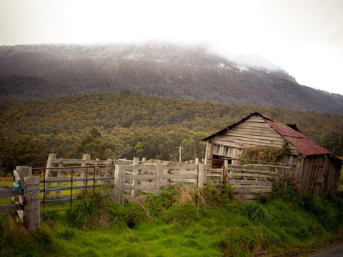 Liffey Falls Reserve - Redcliffe Tourism 2