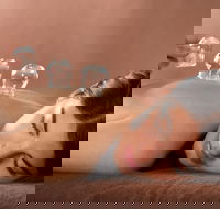 Lotus Blossom - Redcliffe Tourism