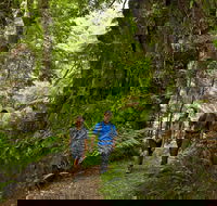 Melba Gully - Redcliffe Tourism