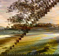 Mount Compass Golf Course - Redcliffe Tourism